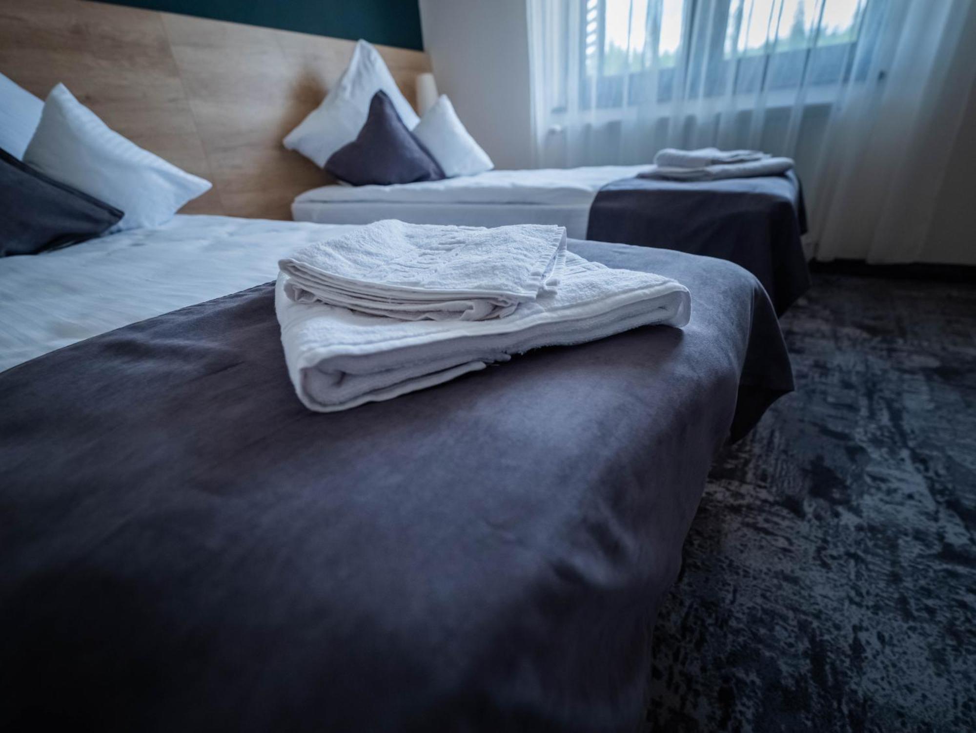 Apuseni Park Padis Hotel Budureasa ภายนอก รูปภาพ